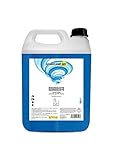 DOMOCAMP WC Liquido Disgregante per Wc Chimico, 5 Litri – per Serbatoio Camper, Gabinetto da Campeggio, Acque Nere, 100% BIODEGRADABILE