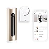 Netatmo Telecamera Wifi Interno con Supporto a Parete, 1080P, Videocamera di Sorveglianza, Sensore di Movimento, Visione Notturna, Senza Abbonamenti, Compatibile con Alexa, Google, Apple, NSC-AMZ