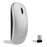TQQ Mouse wireless ricaricabile, mouse retroilluminato a 7 colori con mini ricevitore USB da 2,4 GHz, mouse gaming, compatibile con laptop, PC, computer, Chromebook, Notebook e iPad Etc
