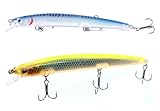 Kit 2 Long Jerk Spinning Spigola Serra Barracuda Pesca Mare Esca Artificiale