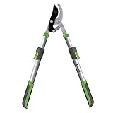 Ribimex PRCBT98 Troncarami Estensibile, 95 cm, Verde/Grigio