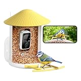 NETVUE by Birdfy Mangiatoia per uccelli con fotocamera, mangiatoia per uccelli con fotocamera per uccelli selvatici, mangiatoia per uccelli con video, visione notturna a colori interi, telecamera