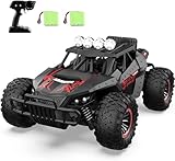 Macchina Telecomandata 2,4GHz con Due Batterie di 70 minuti Auto Telecomandata Alta Velocità Off Road Vehicle 20KM / H RC Auto 1:16 di Tutto Terreno,Perfetto Regalo per Bambini e Ragazzi