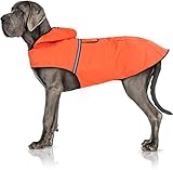 Bella & Balu Impermeabile Cane Taglia Grande - Cappotto Cane Invernale con Cappuccio e Catarifrangenti - Poliestere Impermeabile Regolabile per Pioggia, Freddo, Neve - Mantellina Cani - Arancione, XL