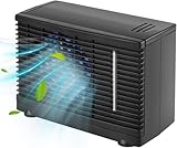 Ejoyous Condizionatore d'aria mobile per auto, ventilatore portatile da 12V, raffreddatore d'aria per camion, ventilatore per climatizzatore auto, raffreddatore ad acqua, raffreddamento ad aria