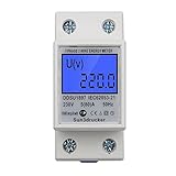 Contatore Energia Elettrica Monofase Due Fili, Digitale LCD 220V 5 (80) A 50 / 60Hz, Elettrico KWh Contatore DIN Rotaia