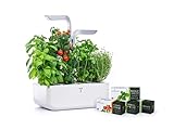 Véritable® SMART (versione Arctic White) - Orto da interno Made in France - Giardino Autonomo Intelligente con Tecnologia ADAPT 'LIGHT - Viene fornito con 4 Lingots®