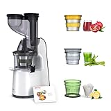 Imetec Succovivo Pro 2000, Estrattore di Succo, Spremitura a Freddo 48 Giri/Min, 100% Vitamine, Filtro per Succhi, Filtro Succhi con Fibre, Cestello per Sorbetti, Ricettario