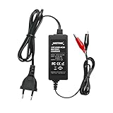 NASTIMA 12V 1200mA Caricabatteria Sigillato al Piombo (SLA), con Protezioni Multiple per Cortocircuito e Sovraccarico, per Auto, Moto, Veicoli Elettrici, ATV, Camper con Batteria al Piombo