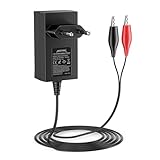 NASTIMA Caricabatterie 7,3V 1000mA LiFePO4 per Batterie LiFePO4 da 6V 4Ah/4,5Ah/6Ah/7 Ah/12Ah, Protezione da Cortocircuito, Sovracorrente e Sovratensione, con Spia di Ricarica
