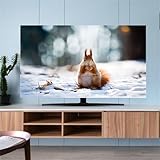 Hixingo Copertura TV Antipolvere, Paesaggio Copri Televisore Copertura Televisore Cover TV Copri TV Protezione TV Universale Elastica Custodia Protettiva TV (37-39inch,Scoiattolo)