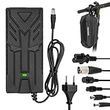 HPGAAVD 42V 2A Caricatore Monopattino Elettrico，Caricatore Hoverboard,36V Universale Carricatore batterie litio con 6 Connettori，Carica rapido per Hoverboard，E-Bike，Scooter+2L Borsa Impermeabile