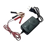CGEAMDY Caricabatteria Auto, 12V Caricabatterie a Carica di Piombo al Piombo SLA, Multi Protezioni Caricatore Intelligente Automatico per Batteria al Piombo Acido Auto, Moto, ATV, Camper