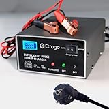 Etrogo Caricabatteria al Piombo Automatico 12V 24V 10A Caricabatterie Rapido Caricabatterie a Impulsi con Schermo LED a Barra