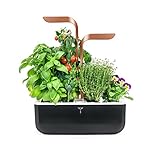 Véritable® Smart (Versione Copper) - Orto da Interno Made in France - Giardino Autonomo Intelligente con Tecnologia Adapt 'Light - Viene Fornito con 4 Lingots®