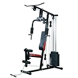 HOMCOM Panca per Allenamento Casa Palestra Multifunzione Professionale Addominali Gambe Pettorali in Acciaio Nero 125x106x205cm