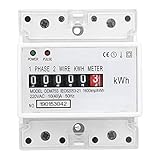 Walfront Contatore Energia Elettrica, 220V/230V 10-40A, Guida DIN Contascatti Elettrico Monofase, 2 Fili 4P Misuratore di Consumo Elettrico