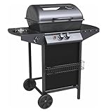 Barbecue a Gas a pietra lavica Ambra Garden Alabama 2,9Kw