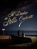 Il ladro di stelle cadenti