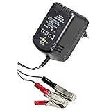 CARICA BATTERIE BATTERIA AL PIOMBO 2V 6V 12V 600mAH STABILIZZATO LED DI STATO