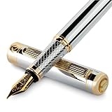 Scriveiner Penna stilografica qualità premium - Penna stilografica mozzafiato con finitura in Placcato in Vero Oro, Placcato in Vero Oro Penninoi (medio), argento cromato