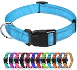 TagME Collare per Cani in Nylon Riflettente, Fibbia Staccabile Durevole, Collari Di Sicurezza Regolabili per Cani Di Piccola Taglia, Blu, Larghezza 2.0 cm