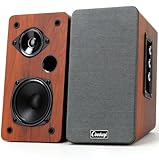 cinnkeyi Altoparlante da scaffale con alimentazione AC da 50 W, passivo 2.0 con porte Bluetooth/RCA/AUX/USB, altoparlante per TV/PC/laptop/giradischi con bassi potenti