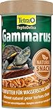 ReptoDelica Gammarus Turtle Food - Cibo naturale a base di gamberetti d'acqua dolce interi, lattina da 250 ml