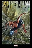 Io sono Spider-Man