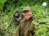 Salviamo i gorilla - con Ellen DeGeneres