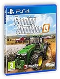 Farming Simulator 19 - PlayStation 4 [Edizione: Spagna]