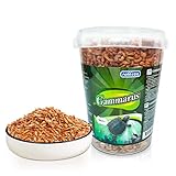 Nobleza Cibo per Tartarughe a Base di gamberi di Fiume Naturali 120g / 1000ml(1)