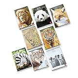 Pigna ANIMAL 02307650B Maxi Quaderni A4 Quadretti 0B Righe Terza Elementare, Confezione da 10 Pezzi