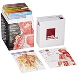 Anatomy & Physiology Flash Cards: Increasing Knowledge of the Human Body